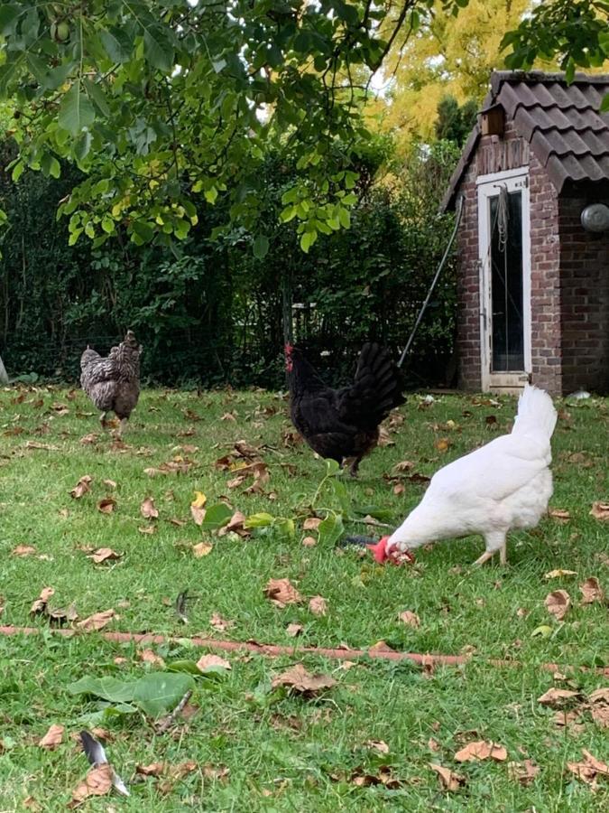 Leuk Vakantiehuisje 6P Brunssum Extérieur photo